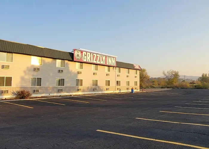 Grizzly Evanston