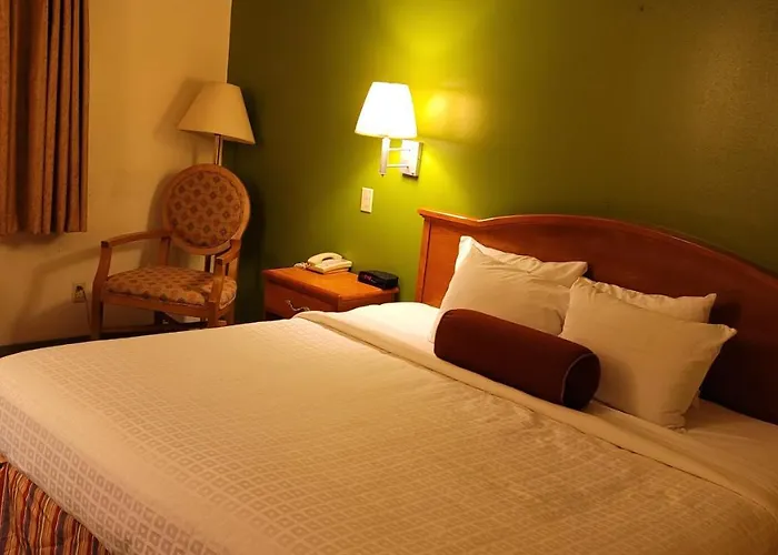 Hotel Grizzly