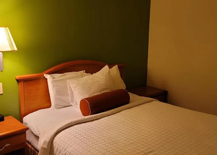 Grizzly Hotel Evanston
