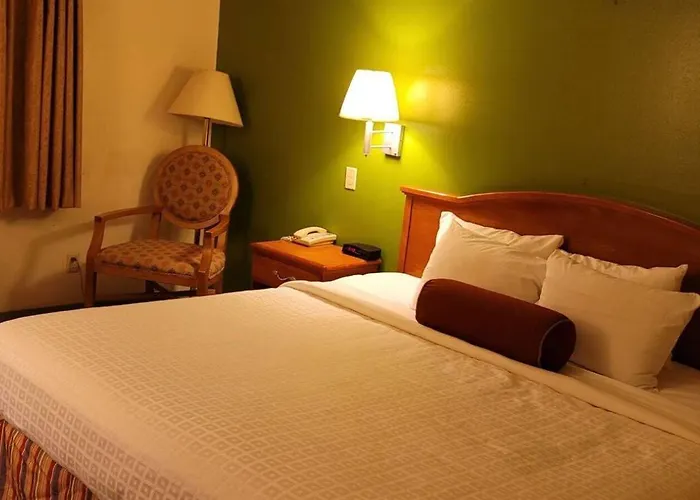 Grizzly Hotel Evanston
