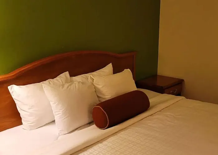 Grizzly Hotel